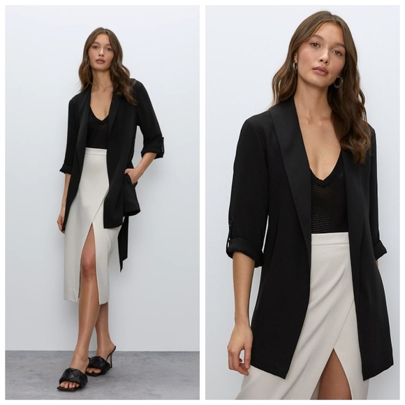 Babaton Black Blazer - Picture 3 of 13